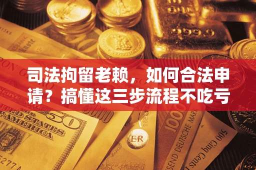 北京司法拘留老赖，如何合法申请？搞懂这三步流程不吃亏！