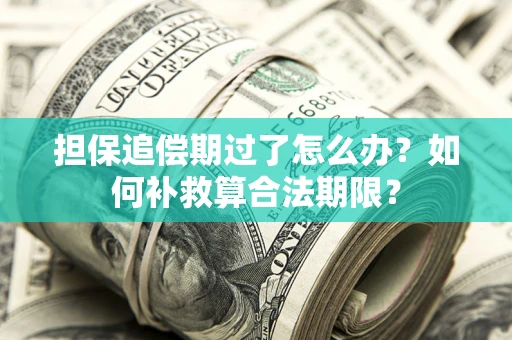 北京担保追偿期过了怎么办？如何补救算合法期限？
