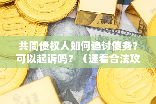北京共同债权人如何追讨债务？可以起诉吗？（速看合法攻略）
