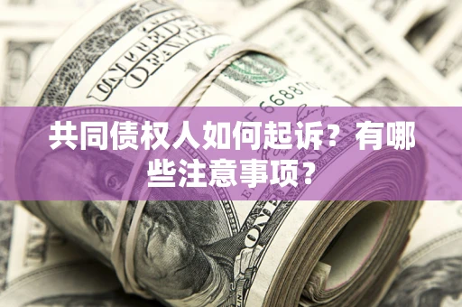 北京共同债权人如何起诉？有哪些注意事项？