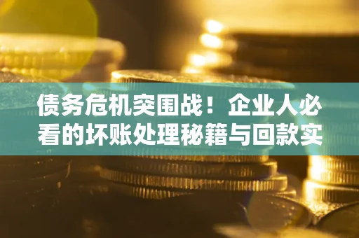 北京债务危机突围战！企业人必看的坏账处理秘籍与回款实战指南